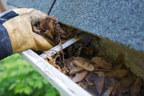 Gutter Service